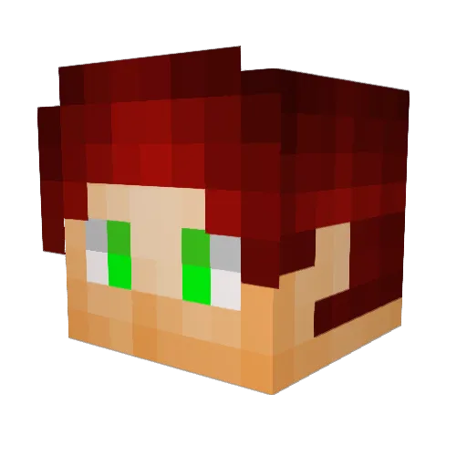 jdhook96 Minecraft avatar head, 3D render