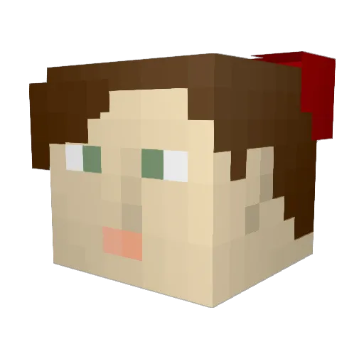 jdig7i00 Minecraft avatar head, 3D render