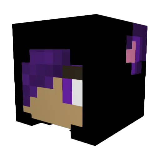 jdo3250 Minecraft avatar head, 3D render
