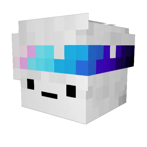 jdot295 Minecraft avatar head, 3D render