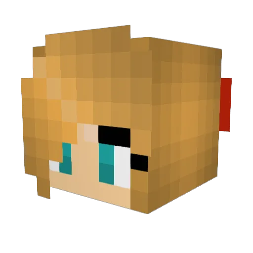jdr2013 Minecraft avatar head, 3D render