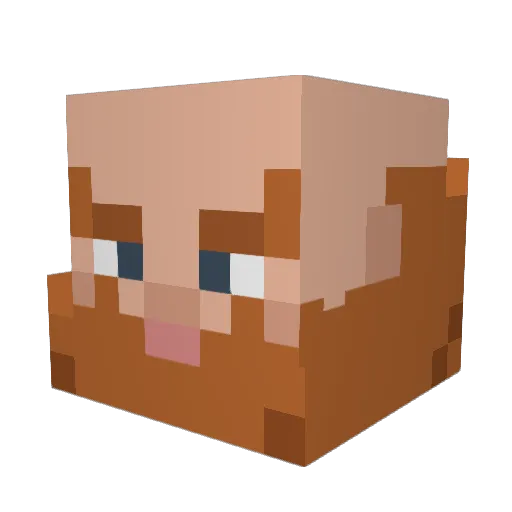 jdsimpson1 Minecraft avatar head, 3D render