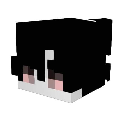 jdsj Minecraft avatar head, 3D render