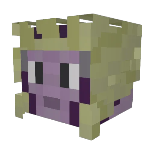 jdubbs97 Minecraft avatar head, 3D render