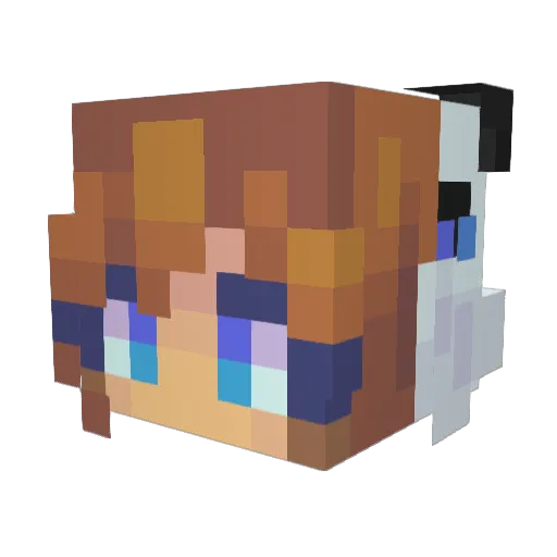 jdunne525 Minecraft avatar head, 3D render