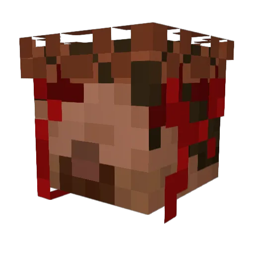 jdunso02 Minecraft avatar head, 3D render