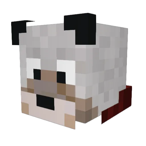 jdvr1994 Minecraft avatar head, 3D render
