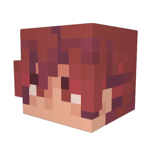 je1lyfish Minecraft avatar head, 3D render