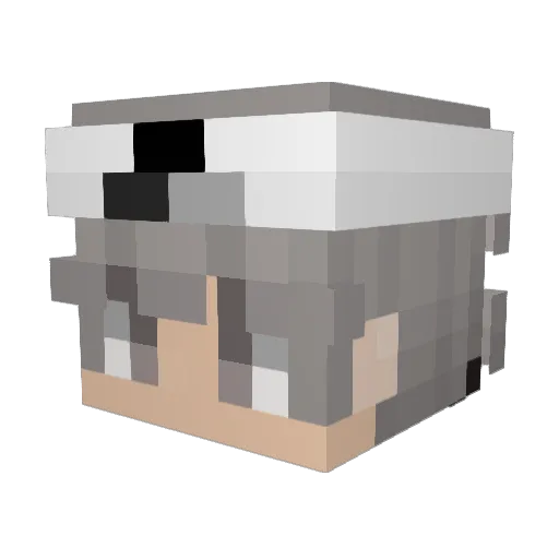 jealvin Minecraft avatar head, 3D render