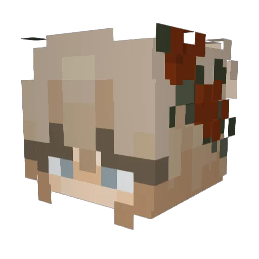 jeanienicolew Minecraft avatar head, 3D render