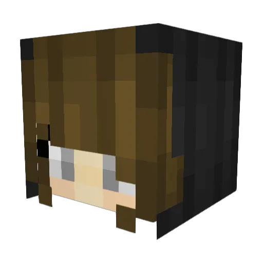 jeanoodles Minecraft avatar head, 3D render