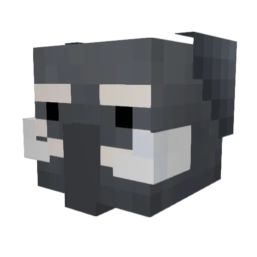 jebotekarotte Minecraft avatar head, 3D render