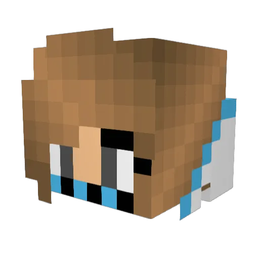jecca2003 Minecraft avatar head, 3D render