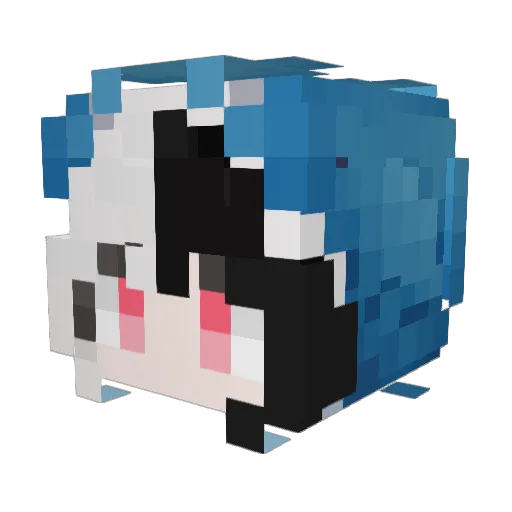 jedai25302 Minecraft avatar head, 3D render