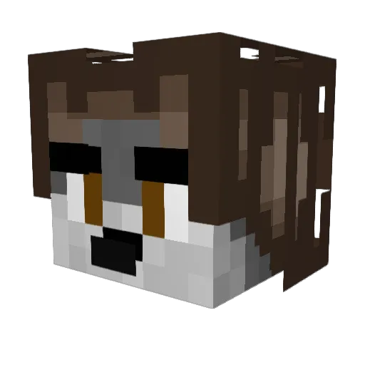 jediSunn07 Minecraft avatar head, 3D render