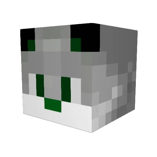 jedieron711 Minecraft avatar head, 3D render