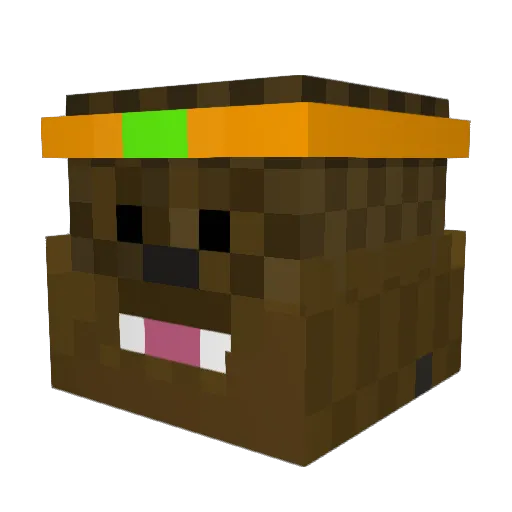 jedijordan143 Minecraft avatar head, 3D render