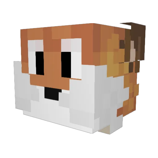 jedimasteryolo Minecraft avatar head, 3D render
