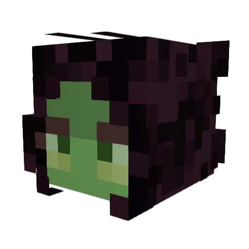 jedistrawberri Minecraft avatar head, 3D render