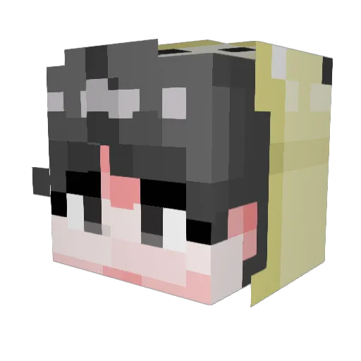 jedoll Minecraft avatar head, 3D render