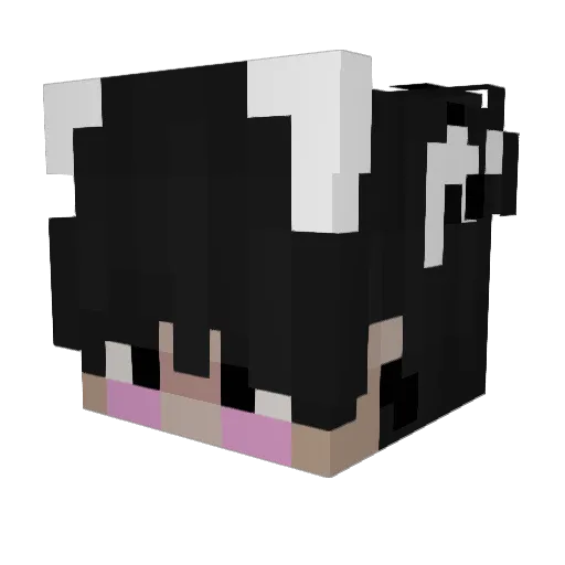 jeenoo Minecraft avatar head, 3D render