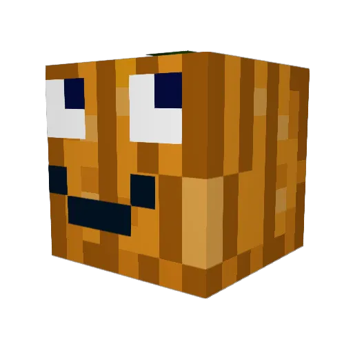 jeet_14 Minecraft avatar head, 3D render