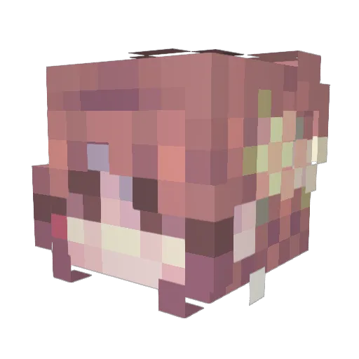 jeeth Minecraft avatar head, 3D render