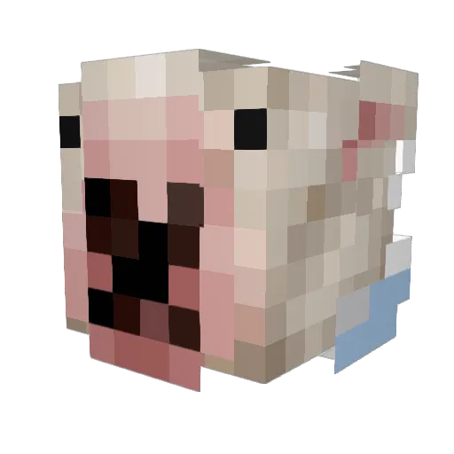 jeewgile Minecraft avatar head, 3D render