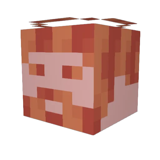 jeffreycorrell Minecraft avatar head, 3D render