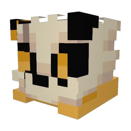 jegger555 Minecraft avatar head, 3D render