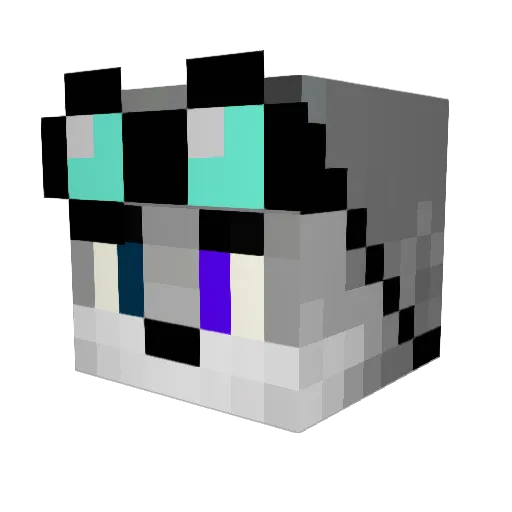 jeggie3 Minecraft avatar head, 3D render