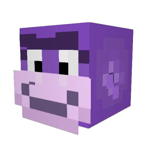 jeifleur Minecraft avatar head, 3D render