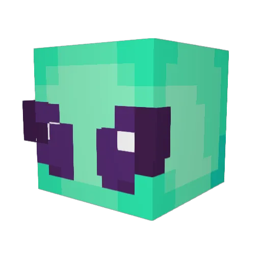 jein7575 Minecraft avatar head, 3D render