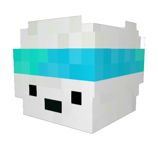 jelle007 Minecraft avatar head, 3D render