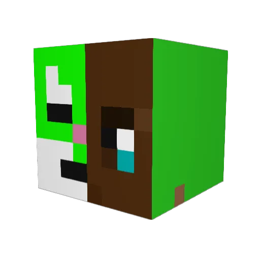 jelleknol1 Minecraft avatar head, 3D render