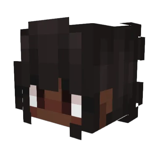 jelliferr Minecraft avatar head, 3D render