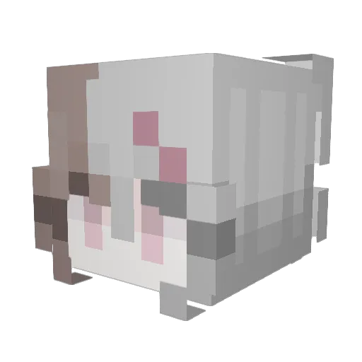 jellirolls Minecraft avatar head, 3D render