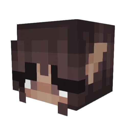 jellojules Minecraft avatar head, 3D render