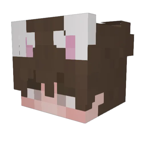 jelly_PC Minecraft avatar head, 3D render