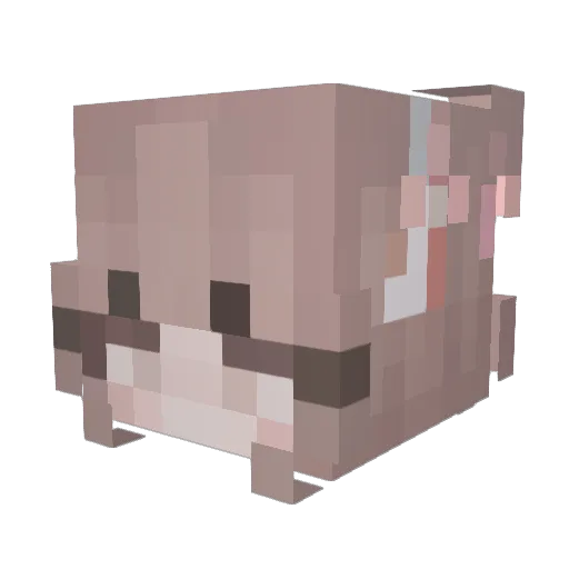jellybeans423 Minecraft avatar head, 3D render