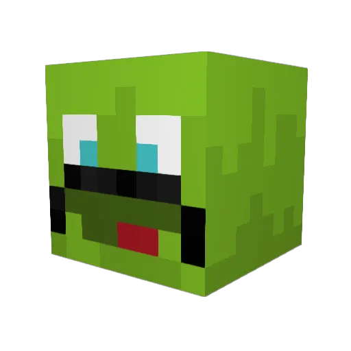 jellybro101 Minecraft avatar head, 3D render