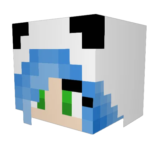 jellyduhz Minecraft avatar head, 3D render