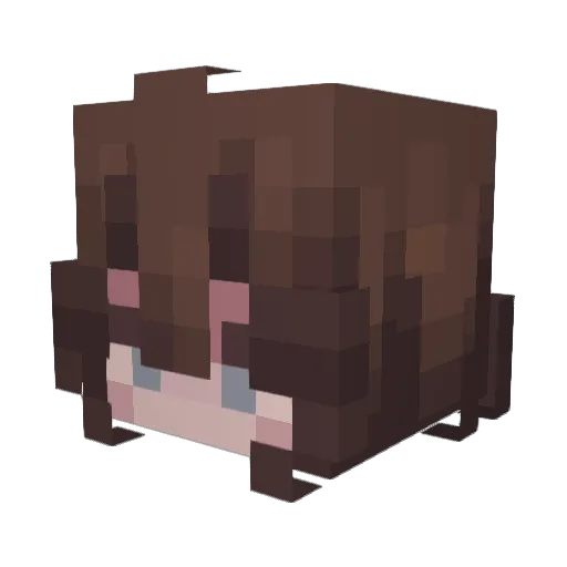 jellyfiishh Minecraft avatar head, 3D render