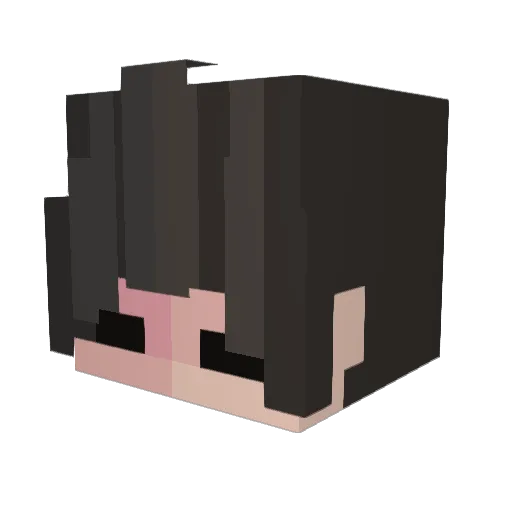 jellyfish0927 Minecraft avatar head, 3D render