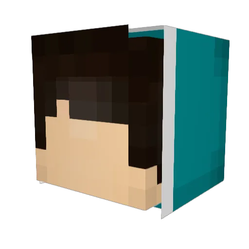 jellyfish1829 Minecraft avatar head, 3D render
