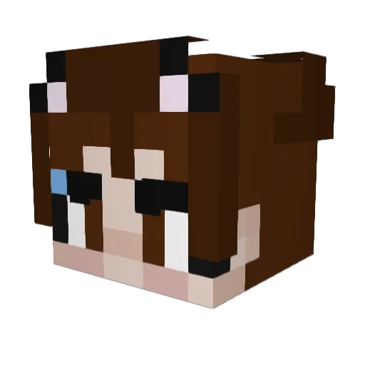 jellyfishking48 Minecraft avatar head, 3D render