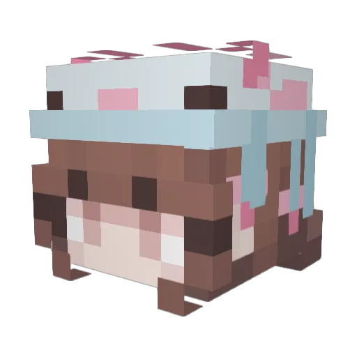 jellyfwish Minecraft avatar head, 3D render