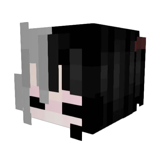 jellyiscool3216 Minecraft avatar head, 3D render