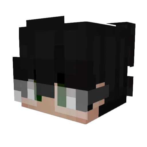 jellyisnotafish Minecraft avatar head, 3D render