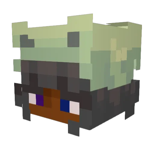 jellyjenkins Minecraft avatar head, 3D render